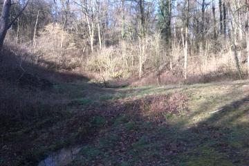 Hof van Twente