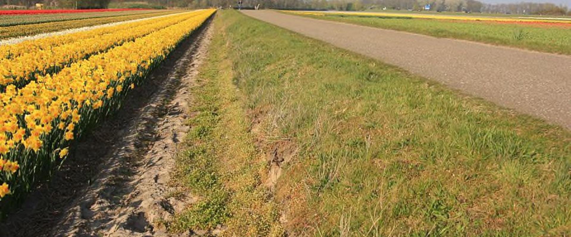 Bollenstreek Route