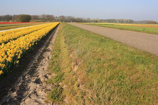 Bollenstreek Route