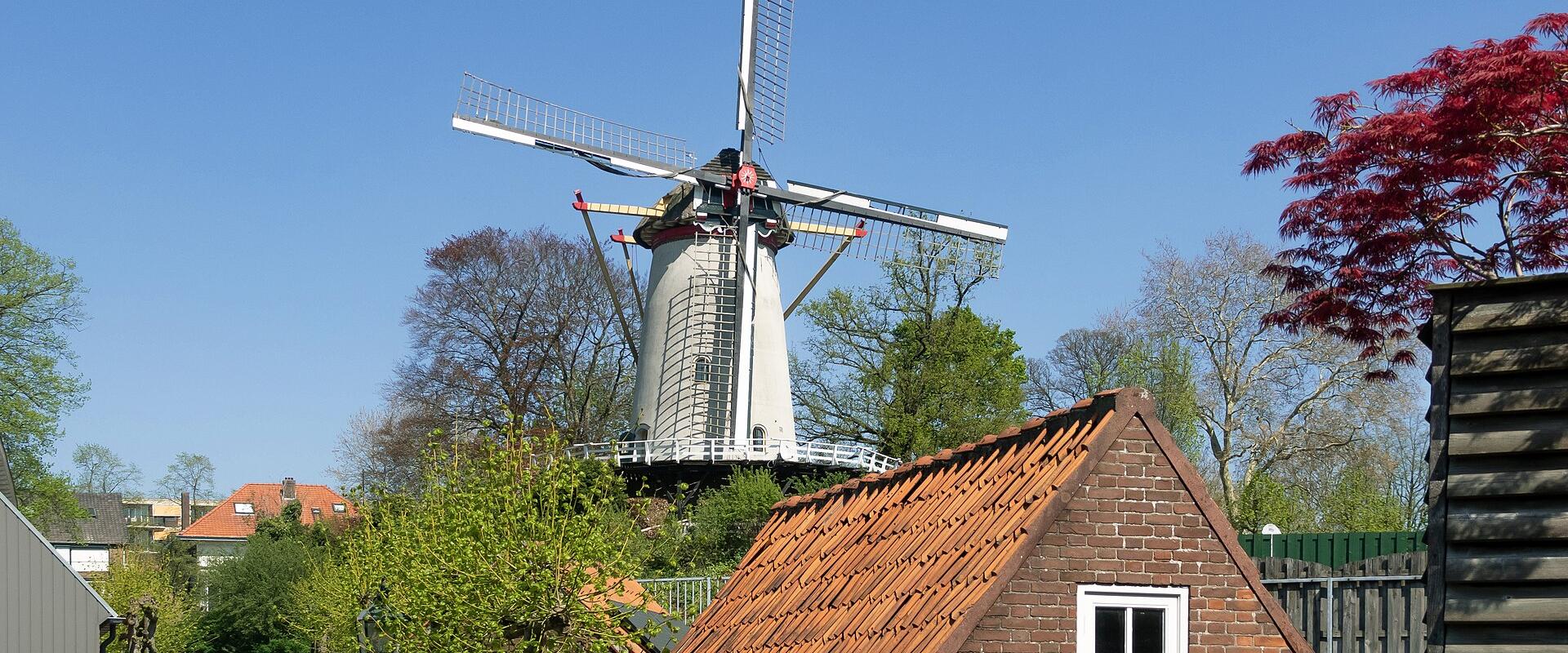 A white smock windmill with a brick base stands on a hill behind a brick building with a red-tiled roof, under a clear blue sky.