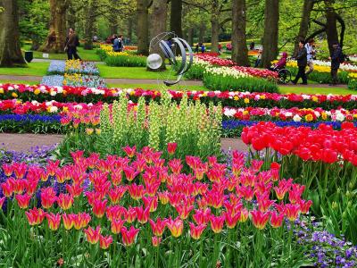 Beds of red, pink and white tulips among the trees at Keukenhof gardens in Lisse