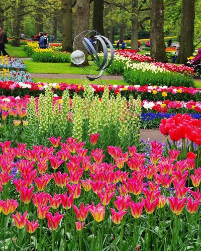 Beds of red, pink and white tulips among the trees at Keukenhof gardens in Lisse