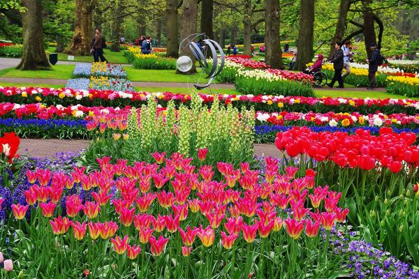 Keukenhof