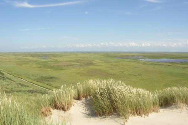 Lauwersmeer National Park (Border Area)