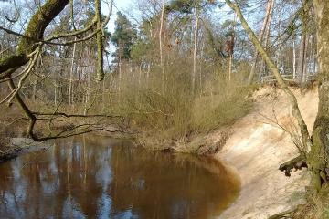 Lutterzand