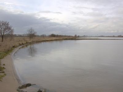 Lek river floodplain in the Baarsemwaard near Culemborg