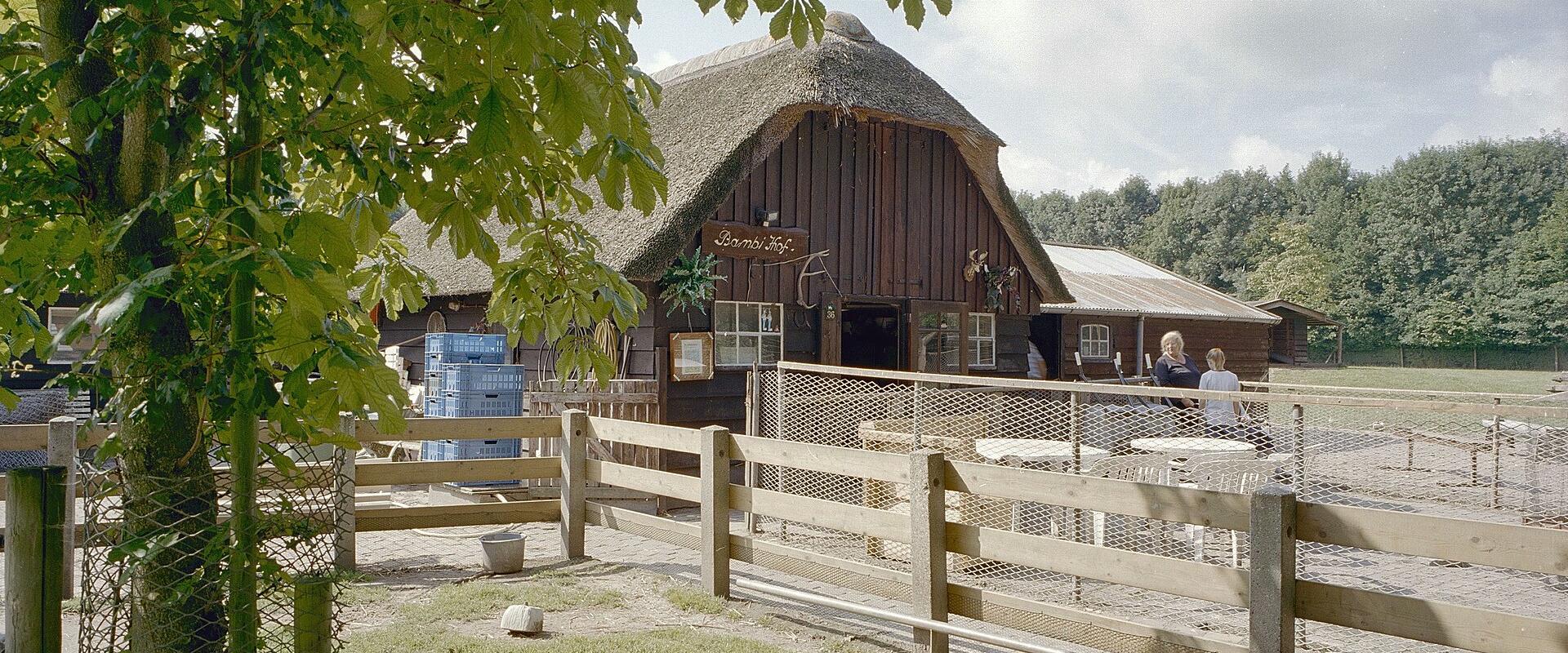 A rustic wooden building with a thatched roof, likely a stable or farm structure, situated behind a wooden fence and surrounded by green trees and grass.