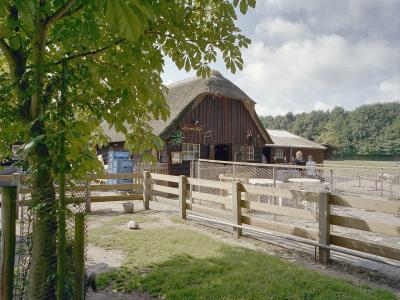 A rustic wooden building with a thatched roof, likely a stable or farm structure, situated behind a wooden fence and surrounded by green trees and grass.