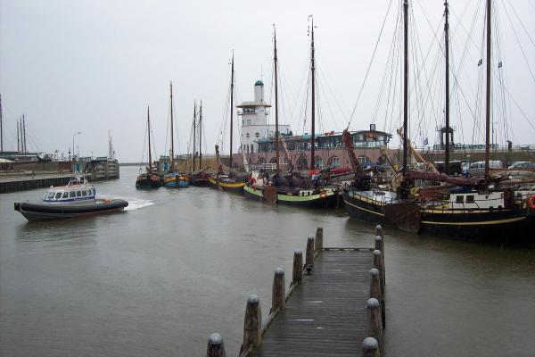Vibrant Harbours