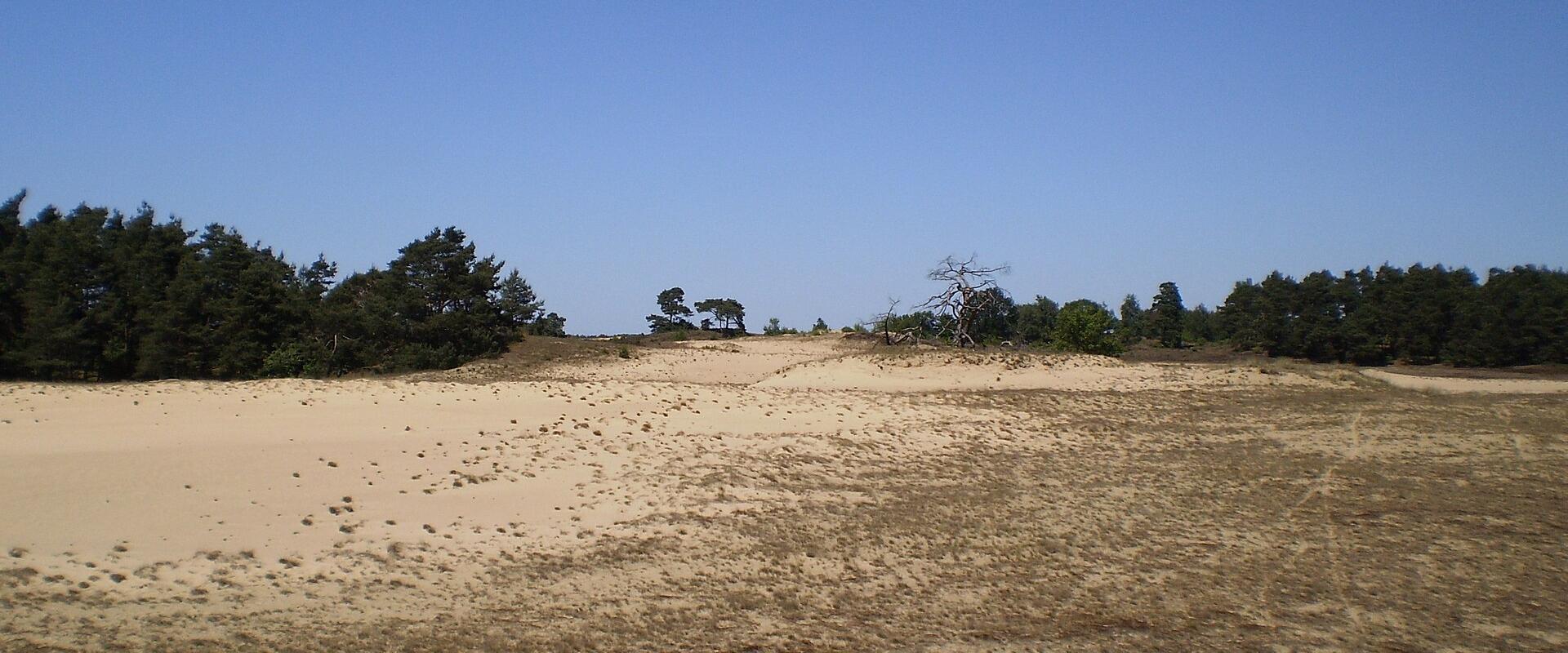 Open drifting sands of the Kootwijkerzand