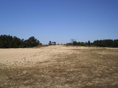 Open drifting sands of the Kootwijkerzand