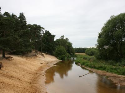 The Dinkel river curving past sandy banks and pines at the Lutterzand