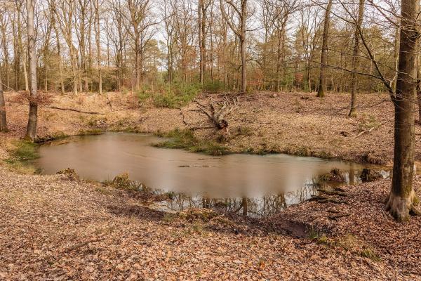 Royal estates of Apeldoorn