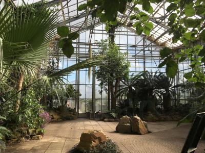 The tropical glasshouse of the Utrecht University Botanic Gardens