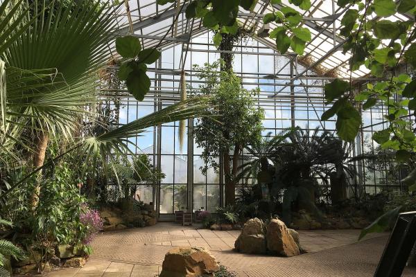 Utrecht Botanic Gardens