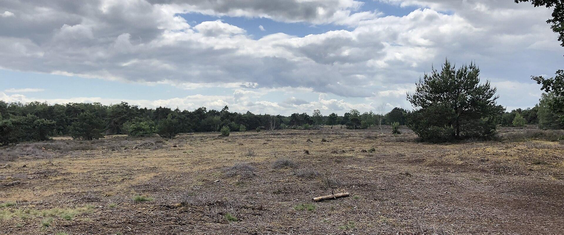 Heathland and burial mounds of De Borkeld