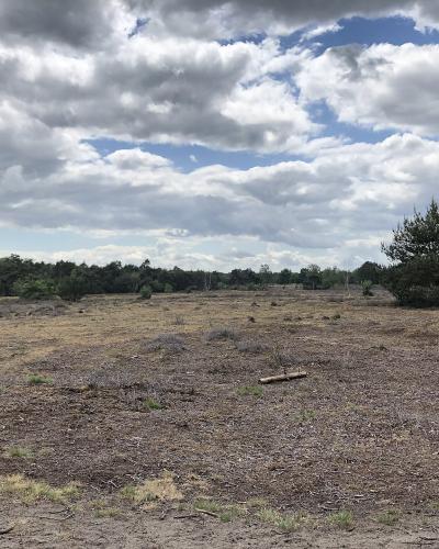 Heathland and burial mounds of De Borkeld