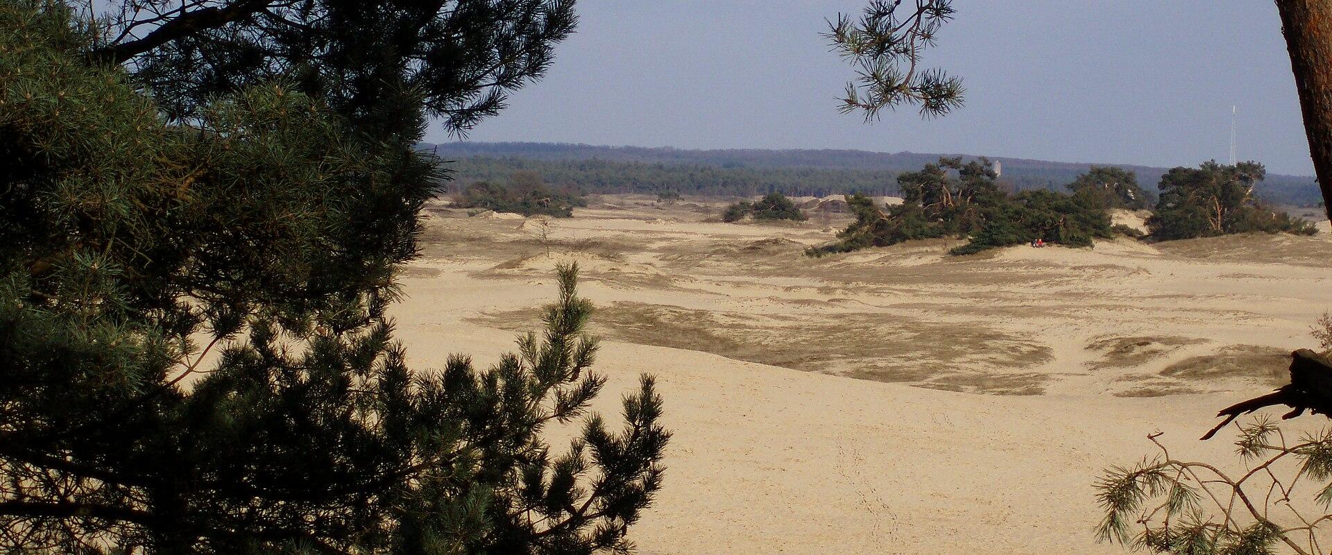Kootwijkerzand