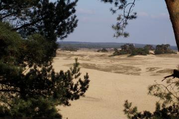 Kootwijkerzand