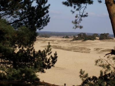 Kootwijkerzand