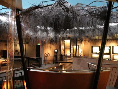 Inside Museonder, with the roots of a beech tree hanging from the ceiling