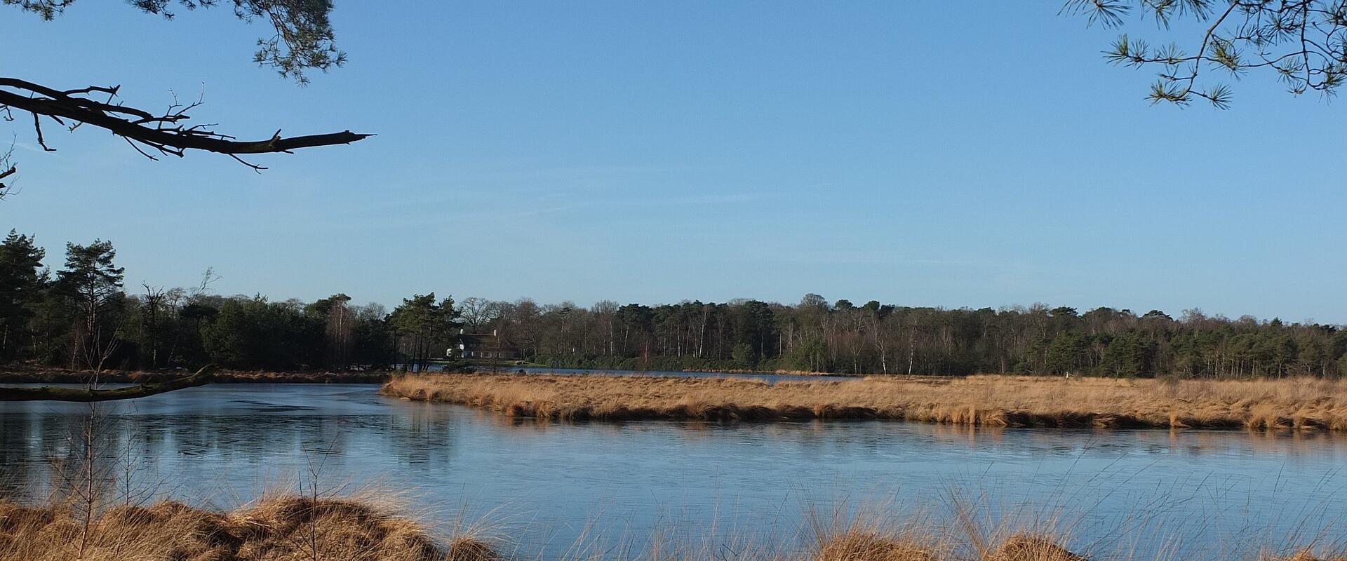 Kalmthoutse Heide