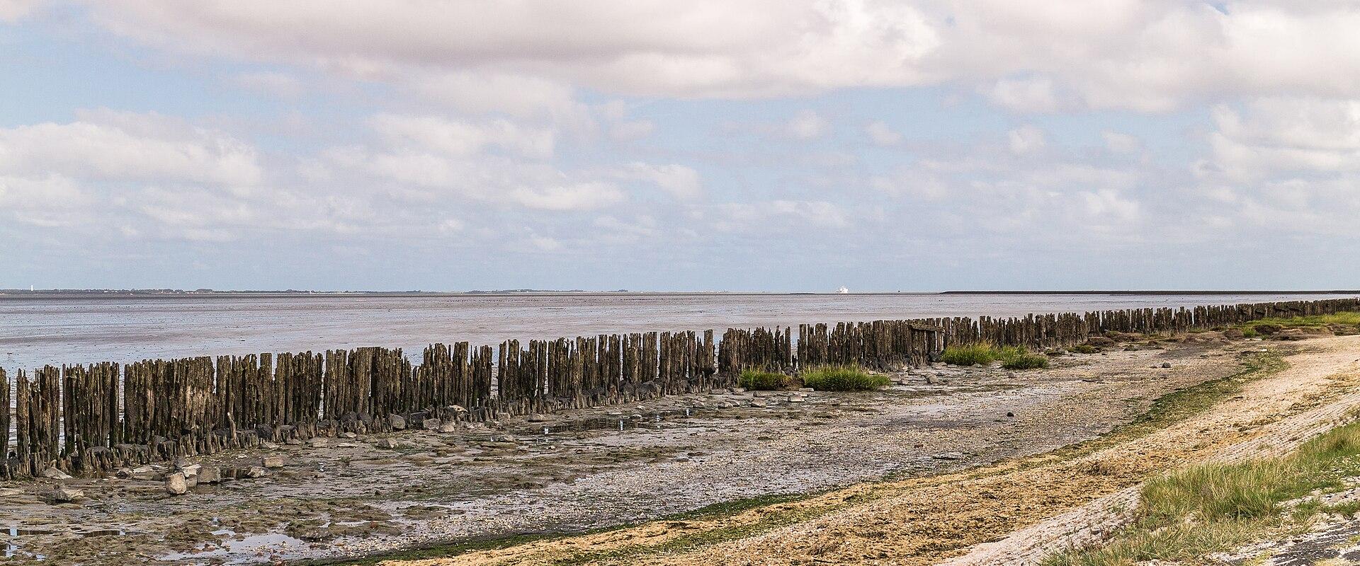 Wadden Sea Mudflats (Waddenzee)