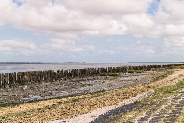 Wadden Sea Mudflats (Waddenzee)