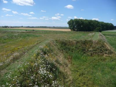 Grassy earthen ramparts of Fort Henricus near Steenbergen
