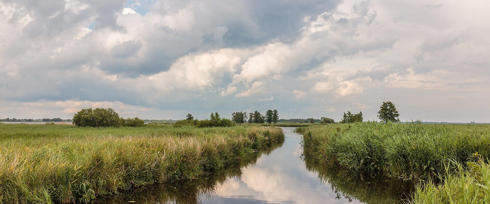 De Wieden