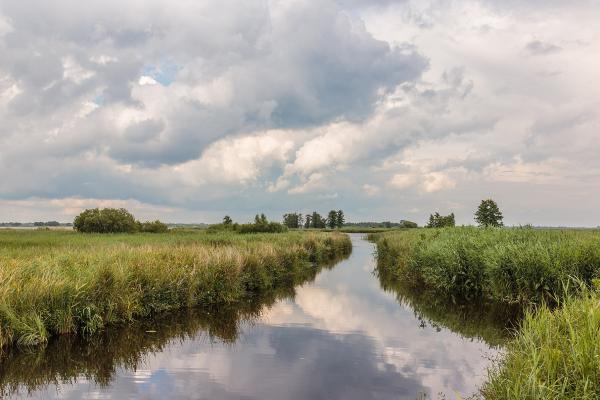De Wieden