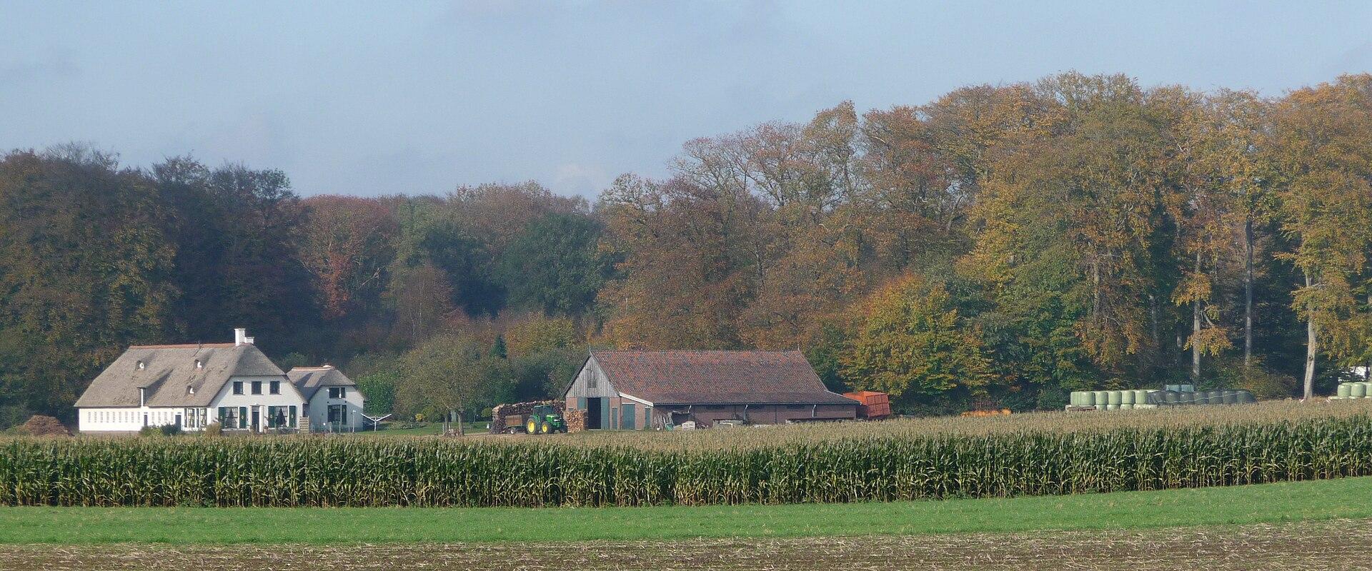 Autumn Harvest
