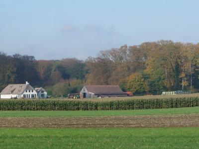 Autumn Harvest