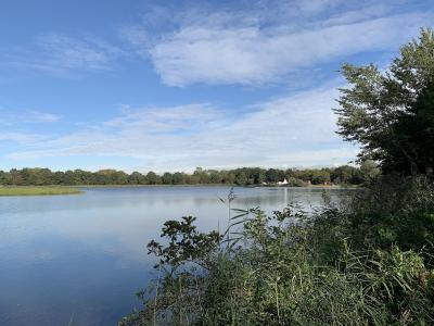The swimming lake of the Lingebos