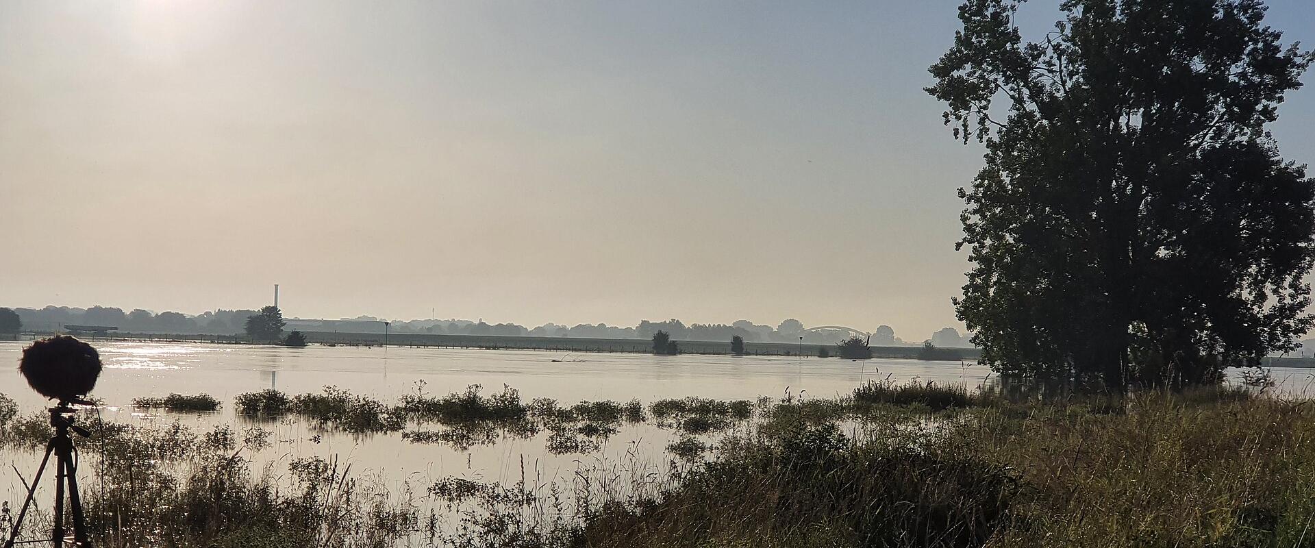 Binnendieze river and canal system