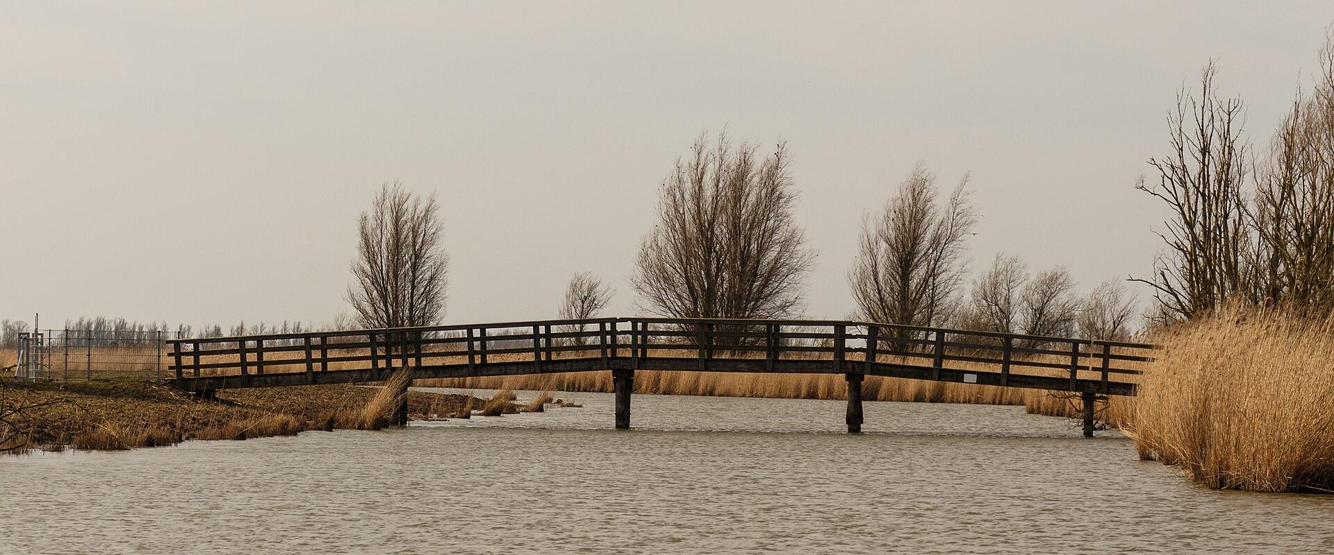 Sea Eagle Nesting Area