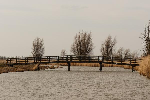 Sea Eagle Nesting Area