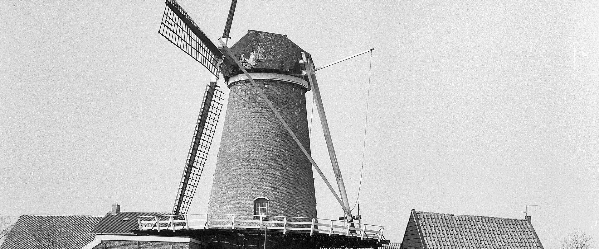 Molen D'Arke