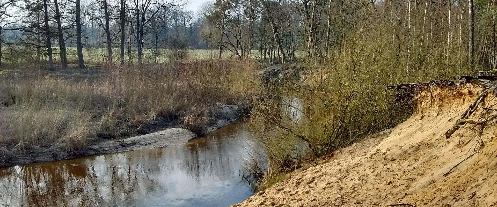 A narrow, winding river flows through a sandy, wooded landscape with bare trees and dry grasses, featuring a steep sandy bank in the foreground.