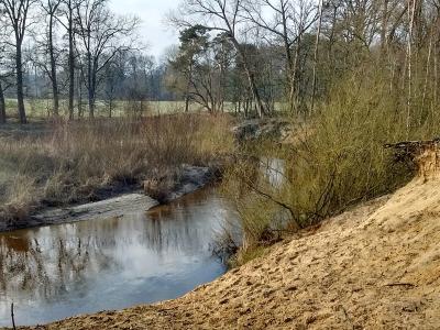 A narrow, winding river flows through a sandy, wooded landscape with bare trees and dry grasses, featuring a steep sandy bank in the foreground.