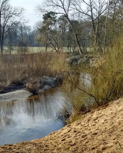 A narrow, winding river flows through a sandy, wooded landscape with bare trees and dry grasses, featuring a steep sandy bank in the foreground.