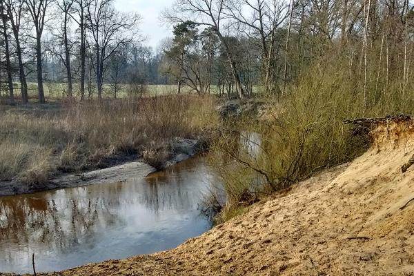 Dinkel River Beach