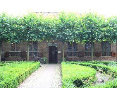 The Schultehuus with its clipped linden hedge in Diever