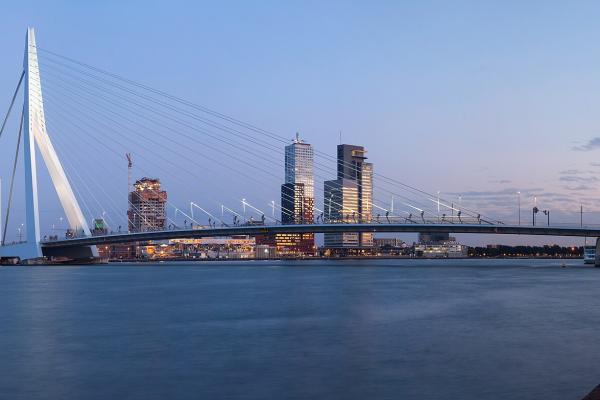 Erasmus Bridge (De Erasmus)