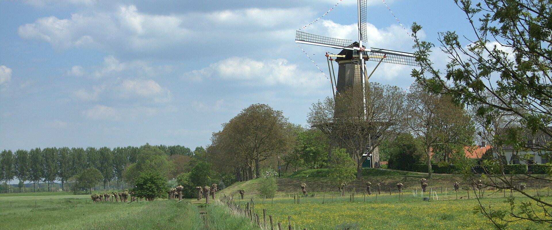 The Prins van Oranje windmill beyond the meadows of Buren