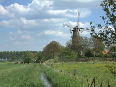 The Prins van Oranje windmill beyond the meadows of Buren