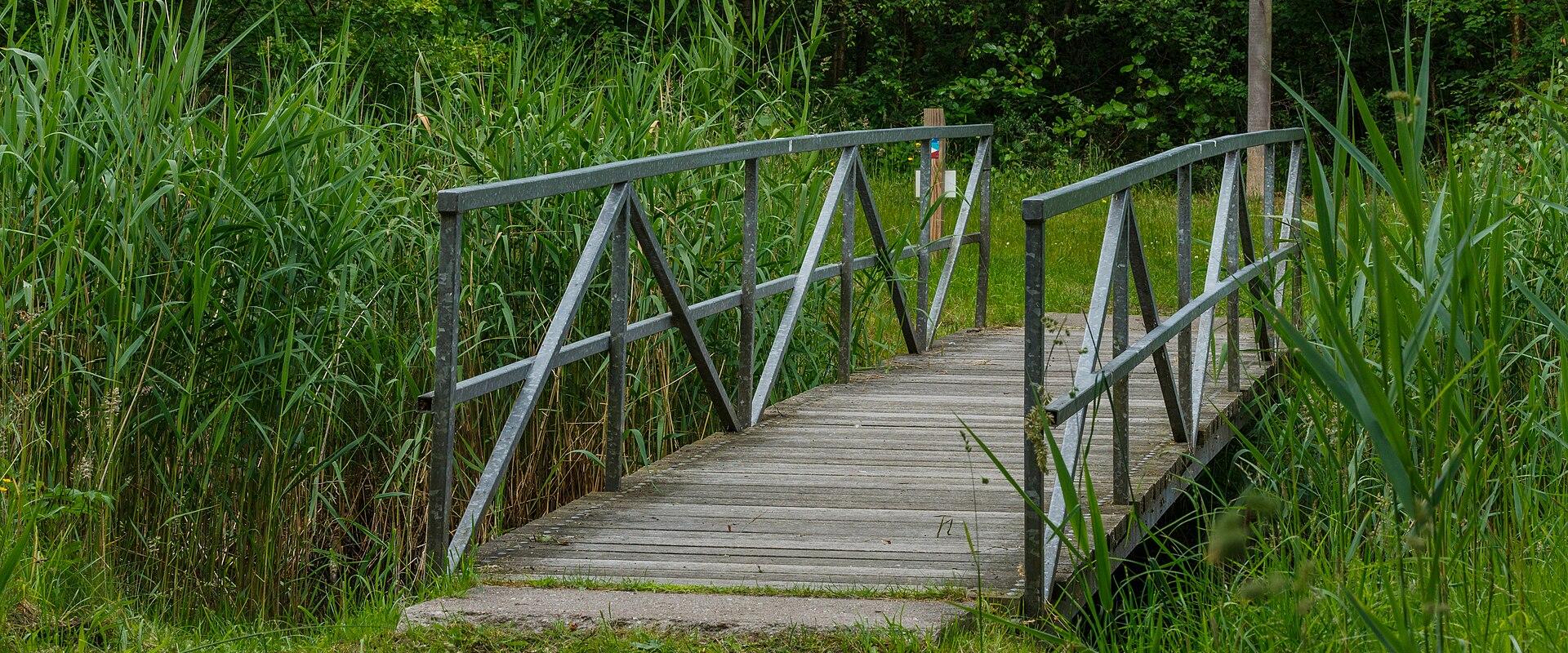 A footbridge through the reeds of Lauwersmeer National Park