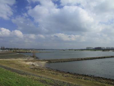 The broad Waal river with its groynes and riverbanks under a cloudy sky
