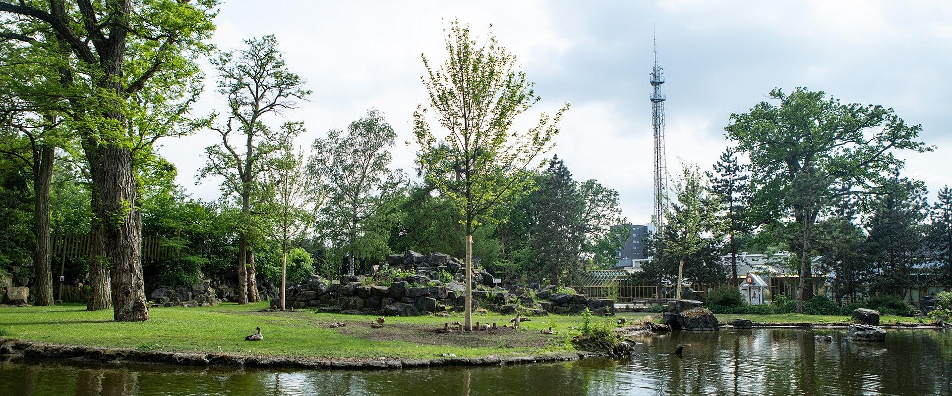 Pond in the Rensenpark, Emmen