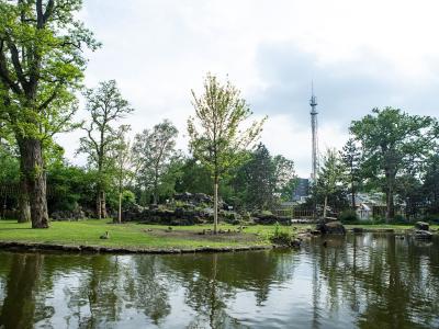 Pond in the Rensenpark, Emmen